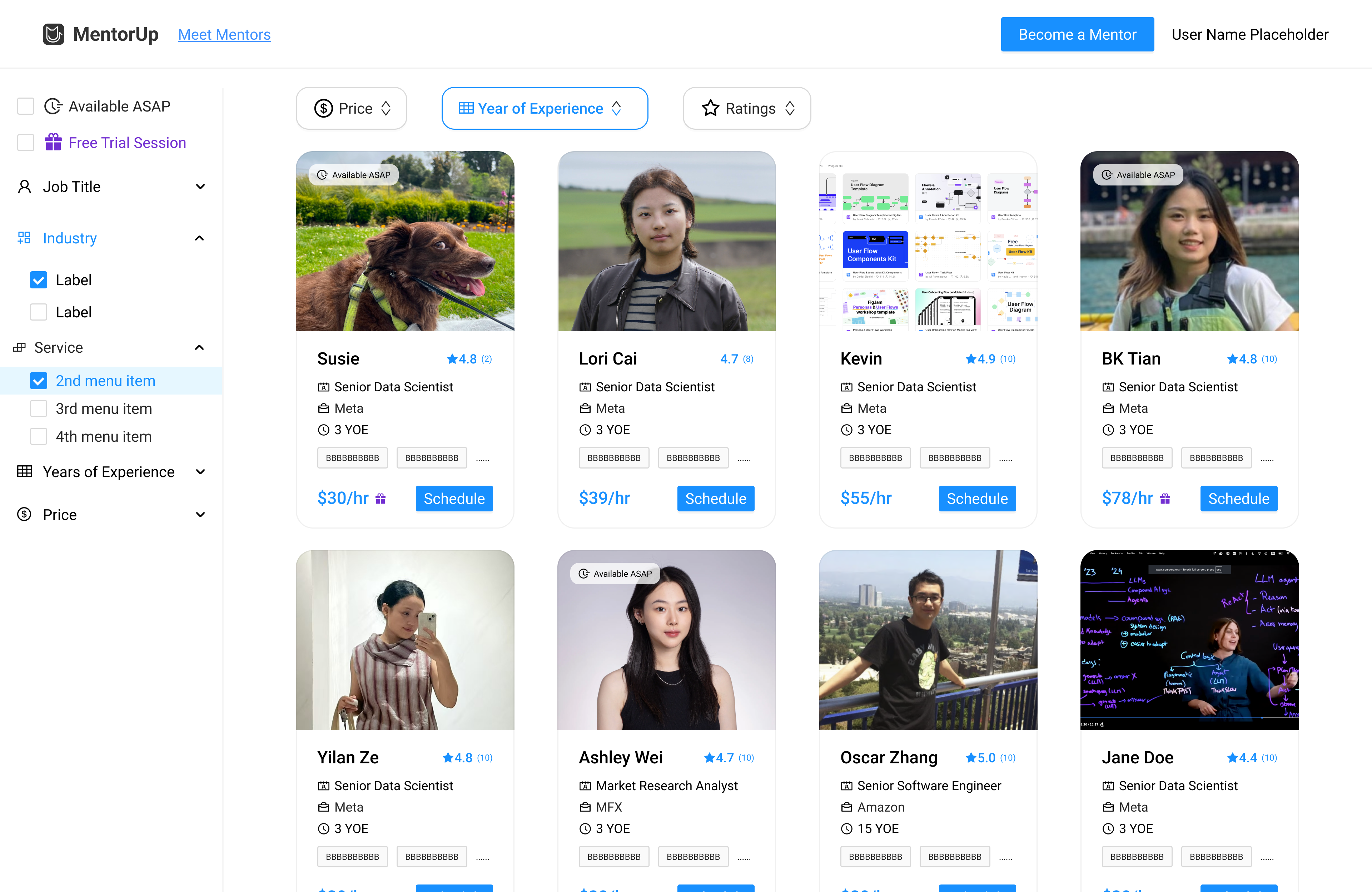 Mentee view of mentor browsing
